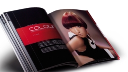 vocuis loreal brand design–2292px 04 2005 uai