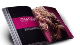 vocuis loreal brand design–2292px 07 2005 uai